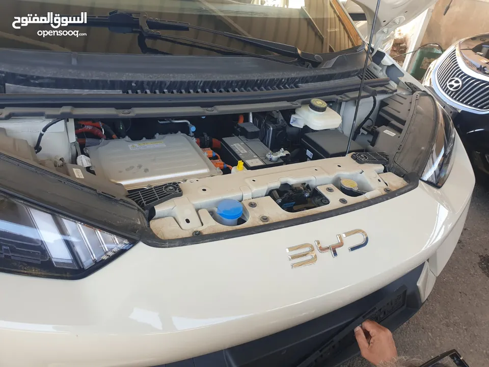 BYD سيجال 2024 زيرو