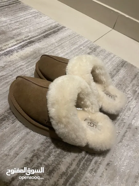 UGG disquette slippers (39, 9)