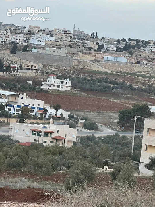 ارض للبيع سكنيه بجانب ترخيص جرش منبسطة مثل الكف بجانب فلل حديثه مساحة 800m مفروزه