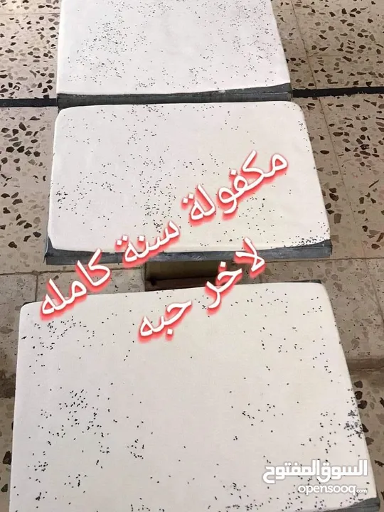 جبنه غنم بلديه 100%