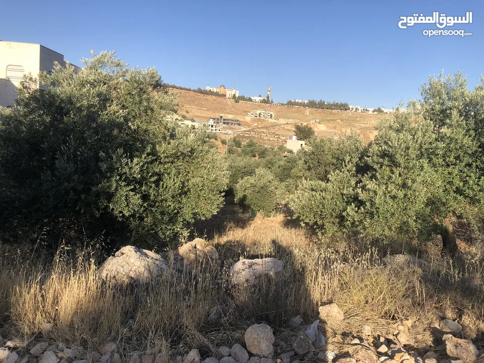 قطعة أرض مميزة في بدر الجديدة للبيع بسعر مغري تطل على المخابرات والمدينة الطبية دابوق