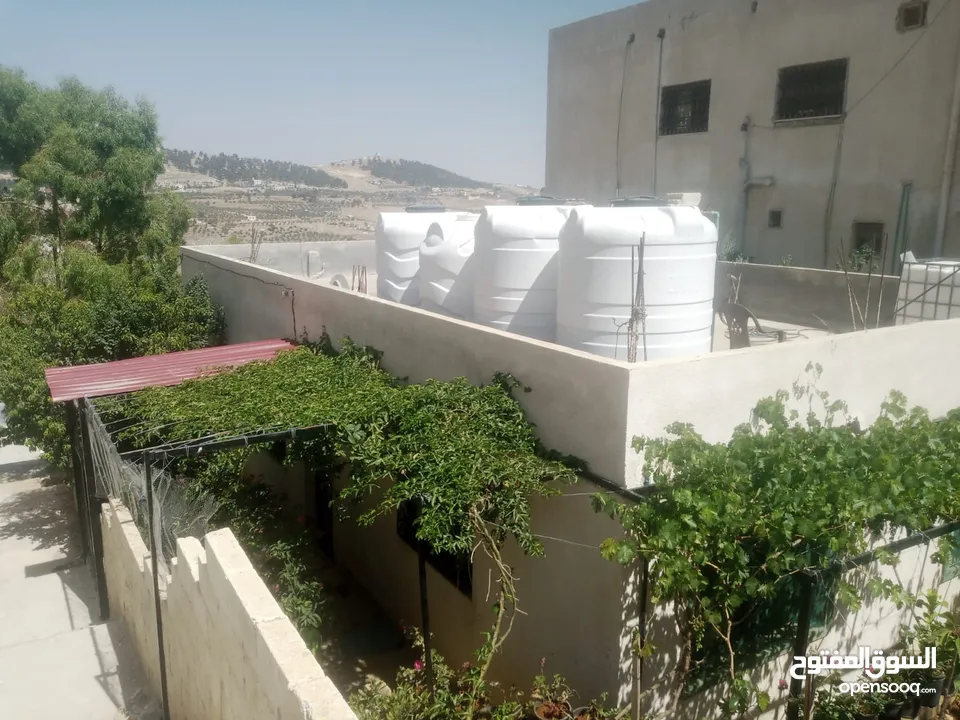 منزل مستقل جرش اسكان عجرمه  3غرف نوم 2حمام  صاله مع مطبخ امريكي  بلكونه  حديقه مساحه الارض 305