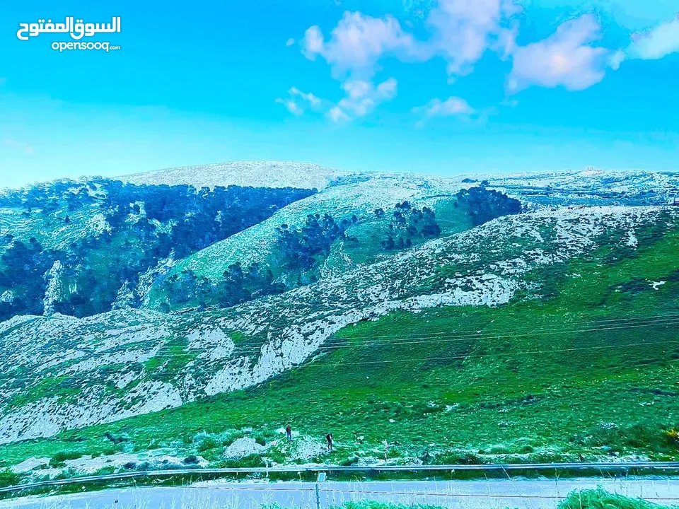 ارض طابو للبيع