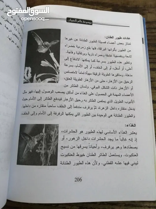 500 نسخة من كتاب موسوعة عالم الحيوان