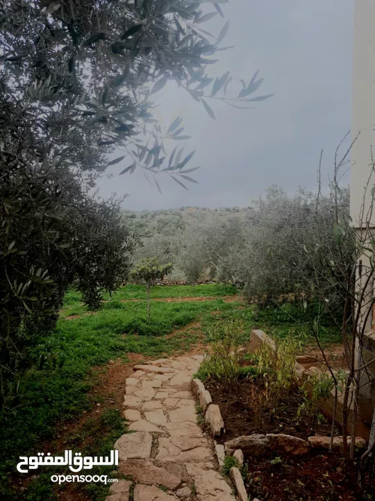 منزل على قطعة أرض 2 دونوم ، لمعرفة السعر الرجاء التواصل على الرقم في الوصف