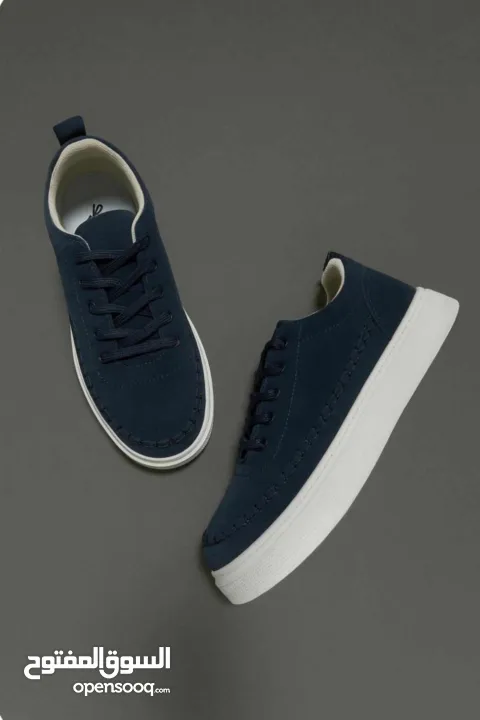 البيع بالجملة فقط