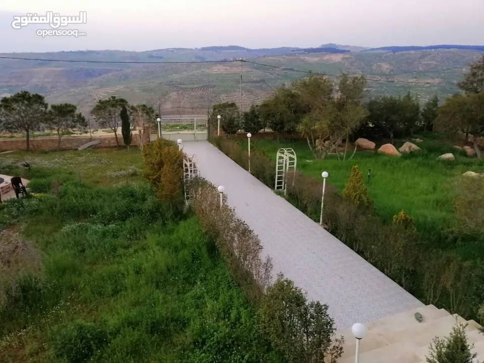 مزرعة مميزة ناعور المشقر