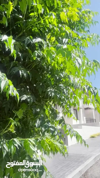 مشروع الحمر 4 بمساحه 250 متر 4 غرف نوم