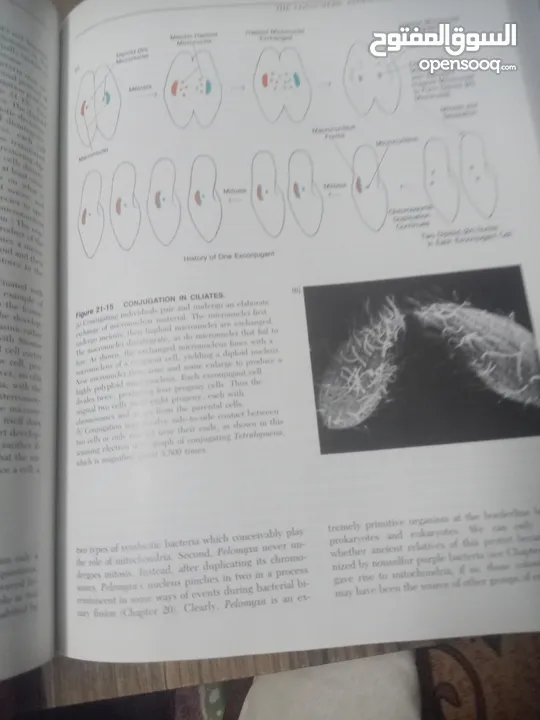 كتاب بعنوان biology