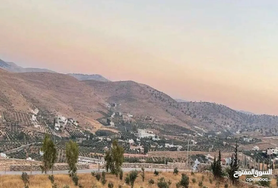 ارض 3400م2 للبيع في صروت حوض المرح الأصفر إطلالة مميزة حولها مزارع