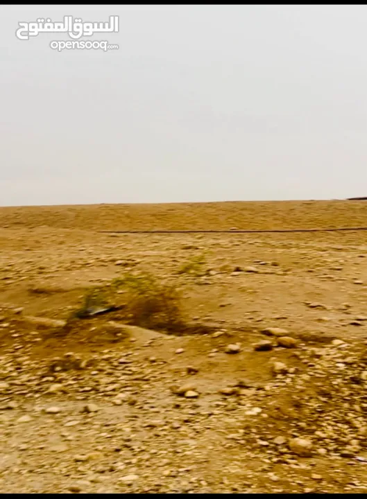 ارض مساحة 1600 متر مربع للبيع تصنيف أ في بلدة العوجا الهادئة الجميلة