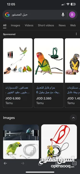 مطلوب حبل ببغاء للطيران الحر