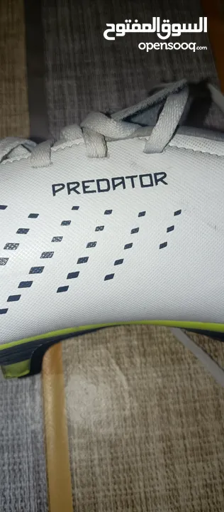 حذاء كرة قدم ( Adidas Predator ) اصابع من اديداس اصلا