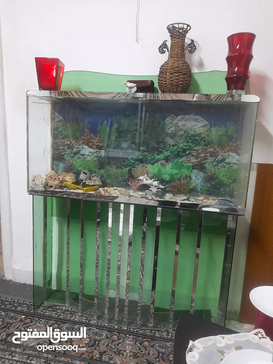 حوض سمك ارتفاع مترين عرض 140