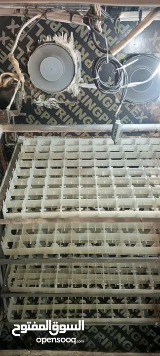 فقاسه فل اتوماتيك للبيع 352بيضه