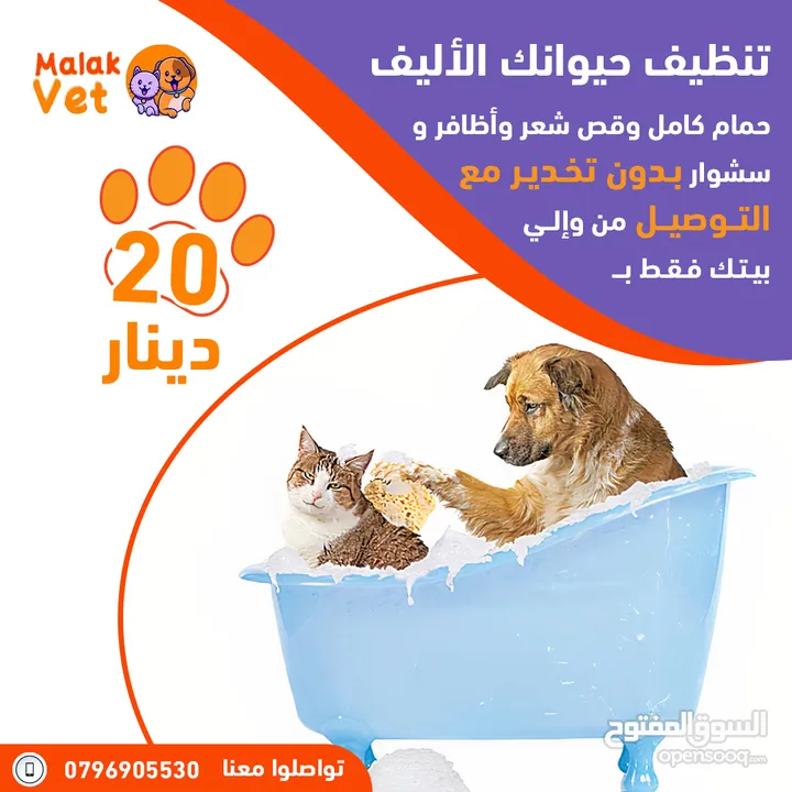 خدمات بيطرية متكاملة للحيوانات الاليفة