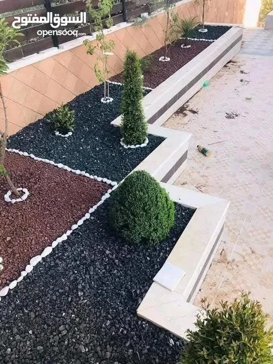 يتوفر جميع أنواع الاشجار  حمضيات لوزيات شجر زينه نسعد بخدمتكم