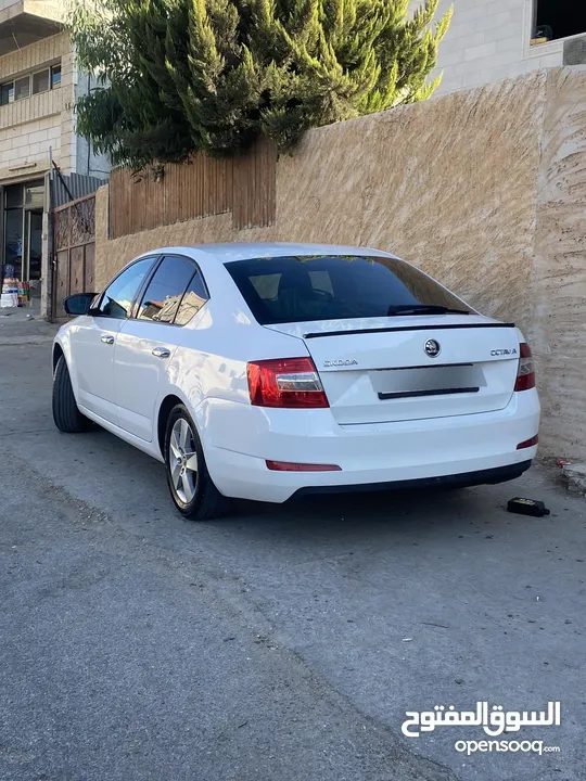 سكودا أكتافها