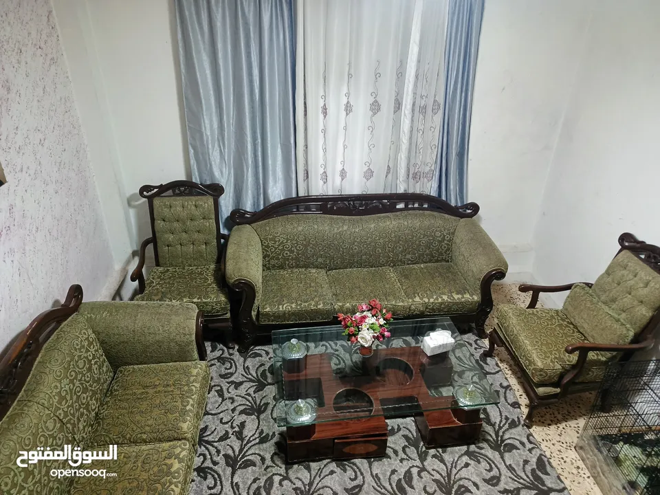 كنب سكان عمان راس العين صاير محروق