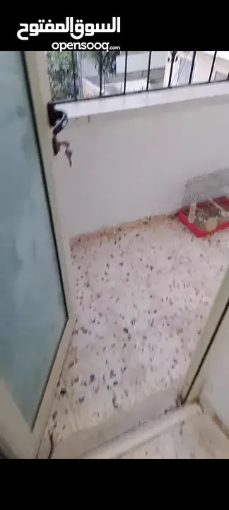 غرفة مفروشة للايجار لطالبات جامعة او موظفات