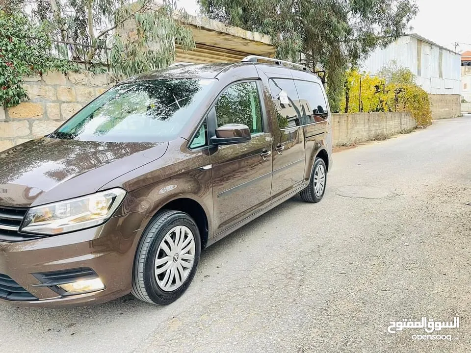 كادي شصي طويل 2020