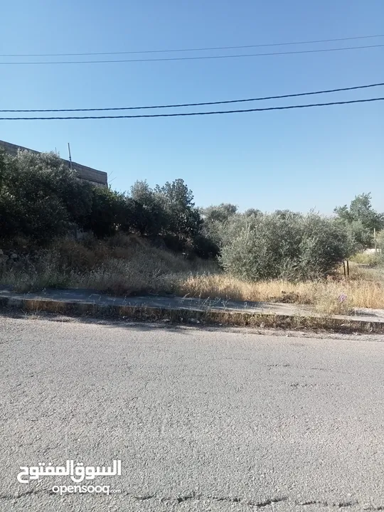 قطعه ارض سكنيه للبيع بسعر مغري جدا
