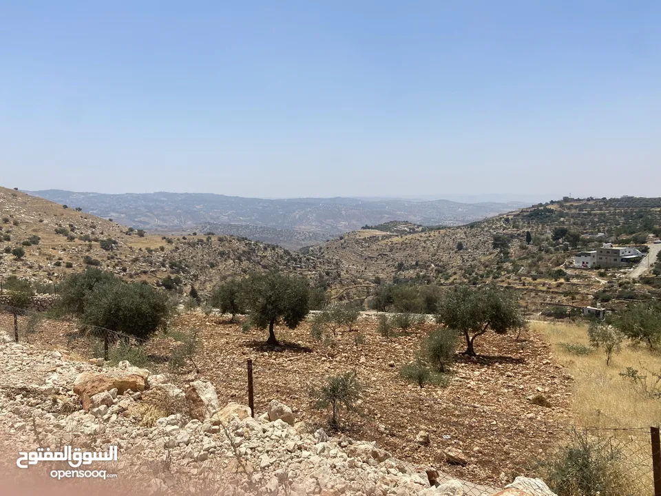 دونم سكن أ للبيع في بطنا حوض المزود