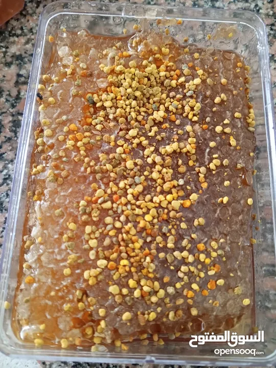 عسل حر جبلي شوكيات