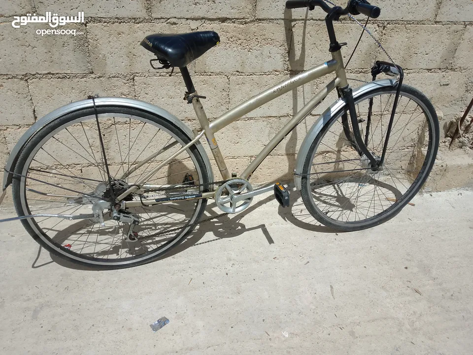 للبيع دراجه هوائيه شبه جديد لا تحتاج اي شي