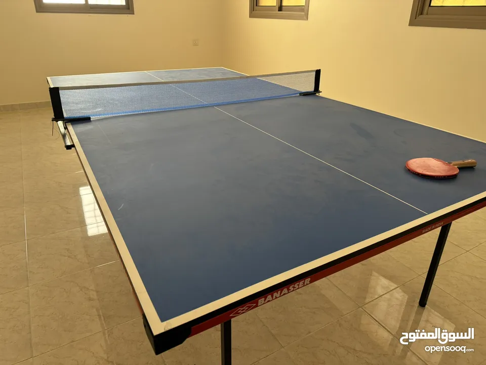 Ping pong Table