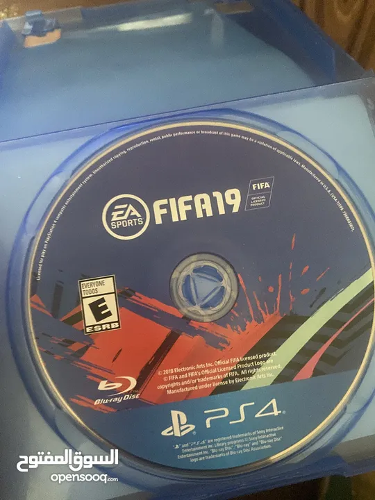 سيدي فيفا 2019