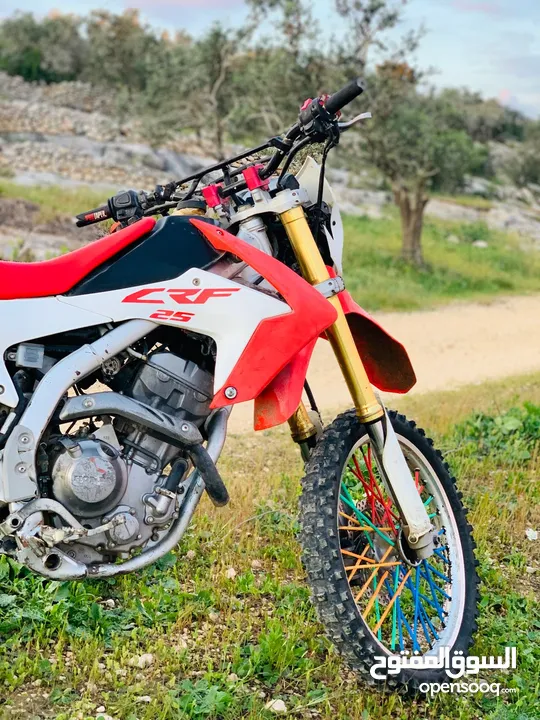 شيتح جبلي Crf 250