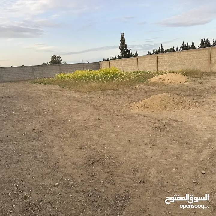 أرض للبيع فرصة
