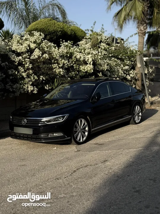 باسات فل الفل