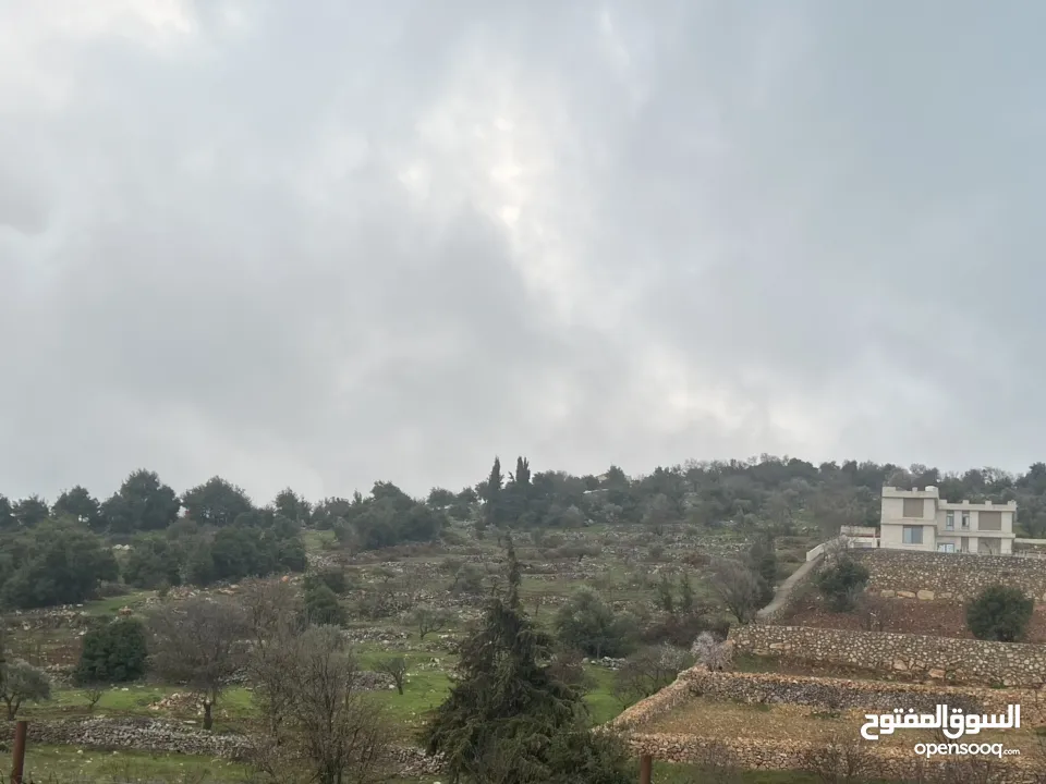 ارض للبيع في الأردن - عجلون