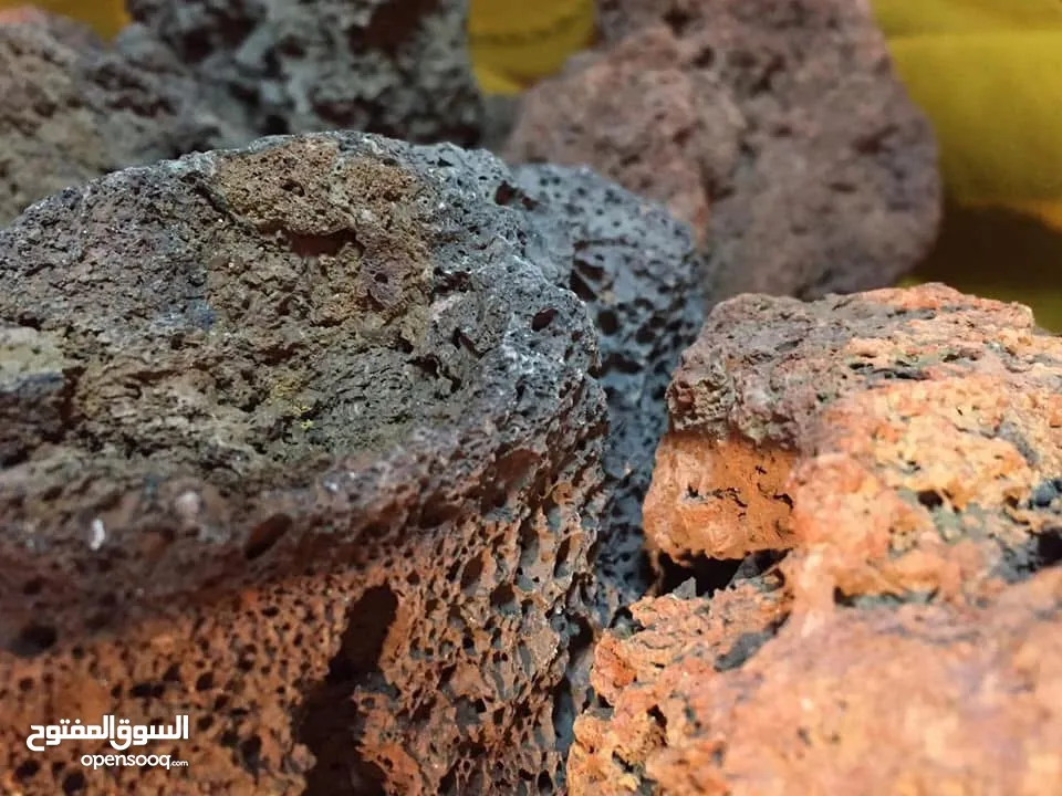 فحم حجري شاركول
