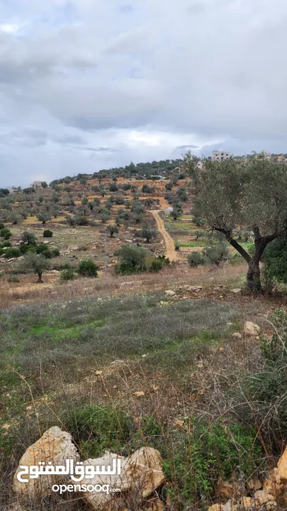 كوبر/ ارض مساحه 930 متر للبيع من المالك المباشر