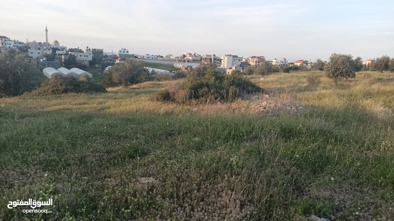 عقار للبيع