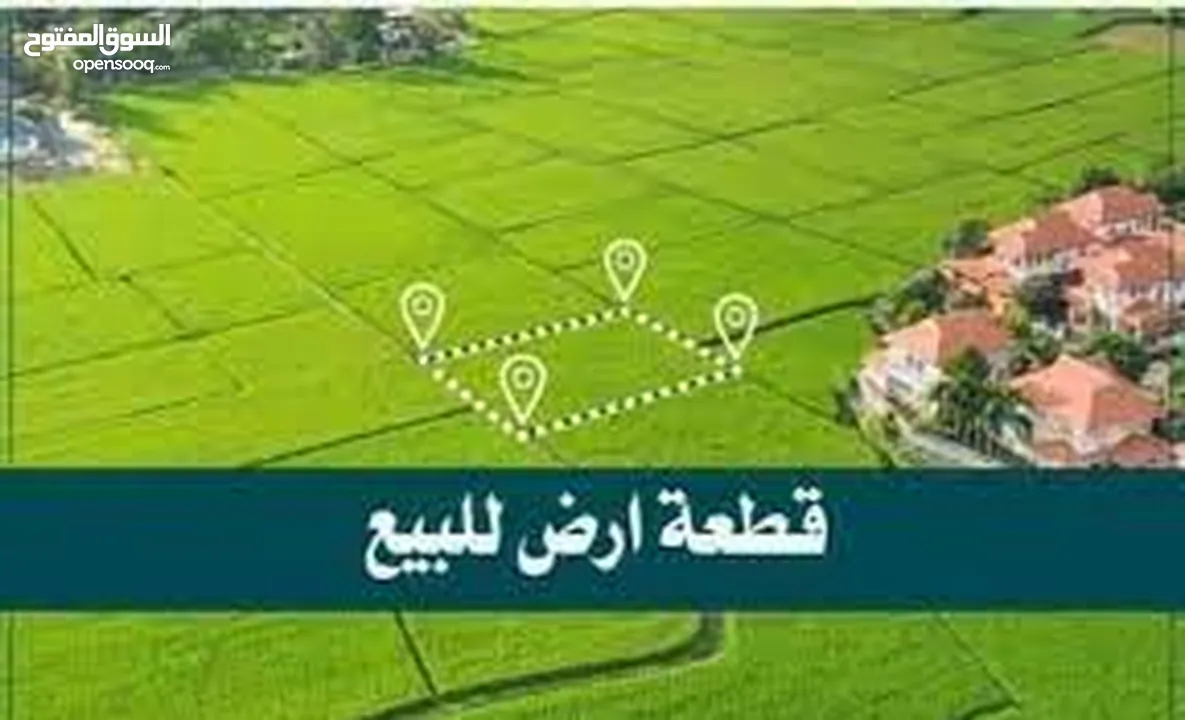 فرصة ذهبية لامتلاك قطعة أرض مميزة في نابلس الموقع: تل – عين المزراب – منطقة فلل راقية