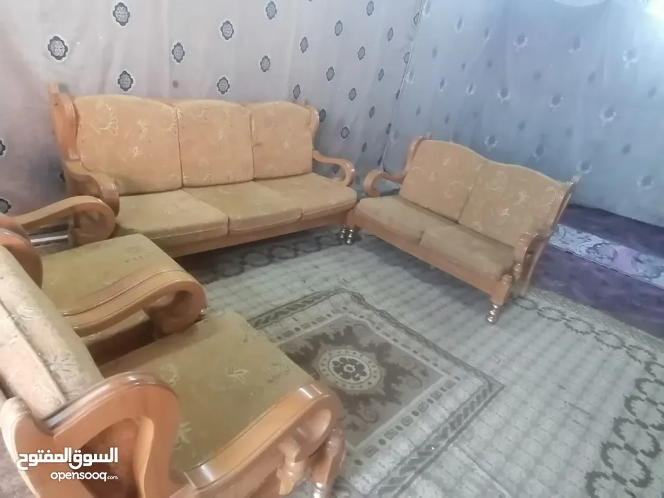 طقم مورس قرن الغزال زان كامل
