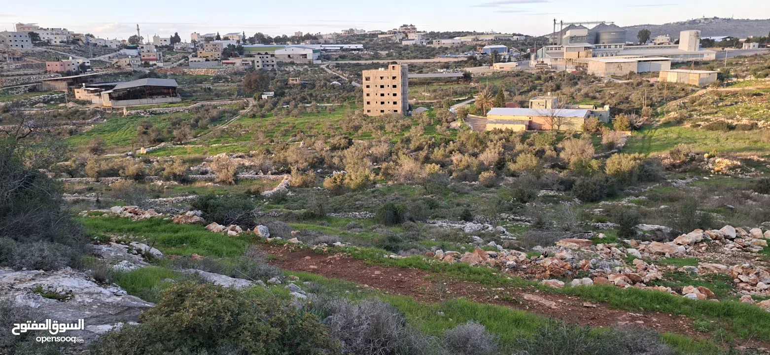 800متر طابوا فلسطيني في اجمل موقع بالكفريات واطلالة مميزةمنطقة( b)صالحة للبناء
