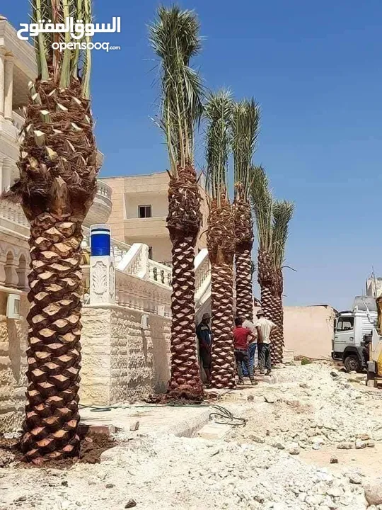 مؤسسة ومشاتل رويد لتنسيق الحدائق