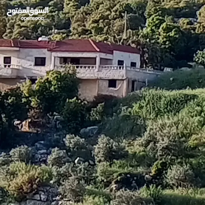 فيلا مستقلة مفروشة للايجار اليومي أو الاسبوعي أو الشهري  مطلة على جبال اشتفينا وعجلون عائلات فقط