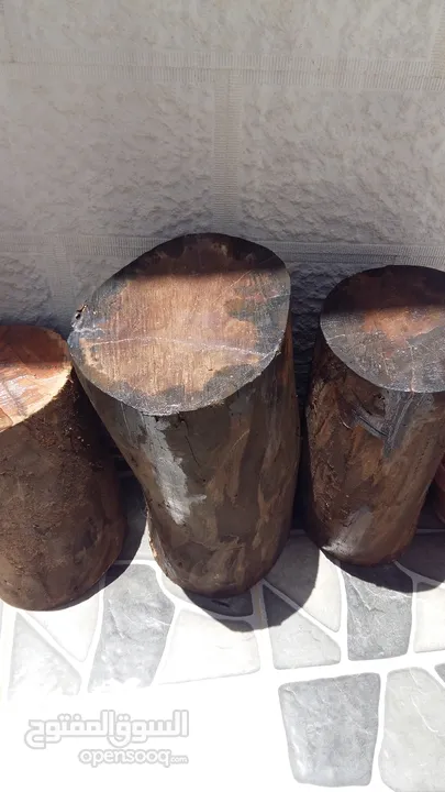 جذوع خشبية من شجر الكينيا / 4 قطع