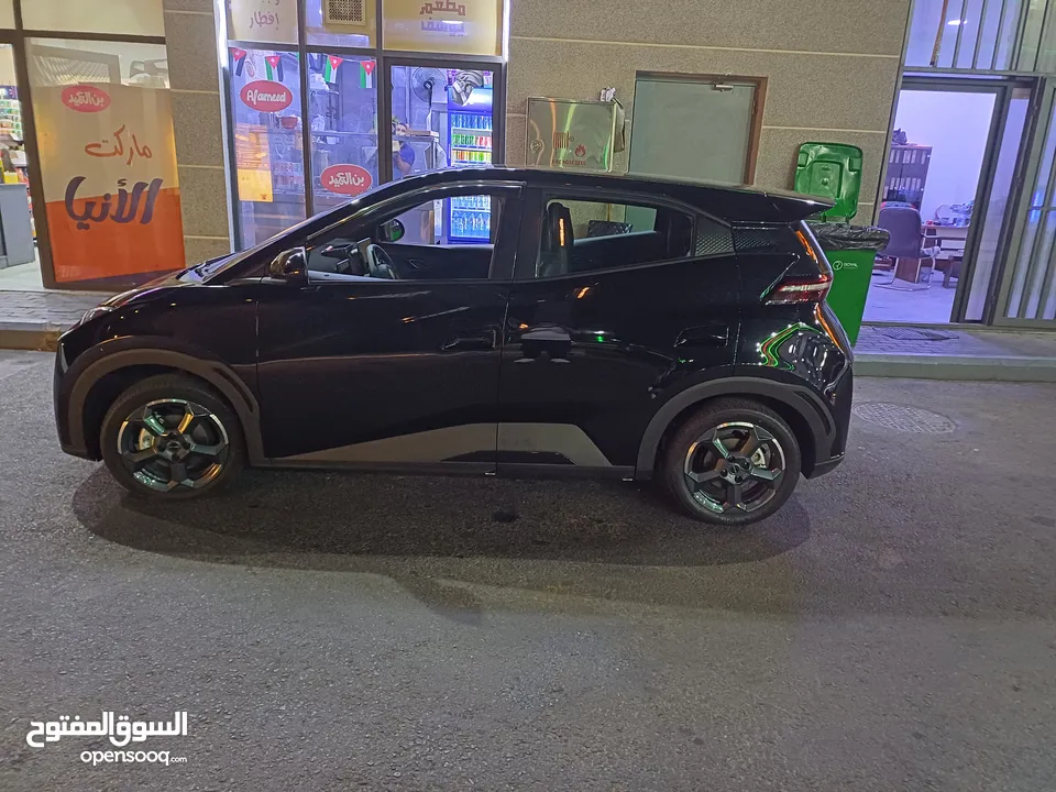 بي واي دي سيجال