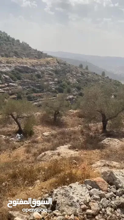 ارض للبيع بقراوه بني زيد