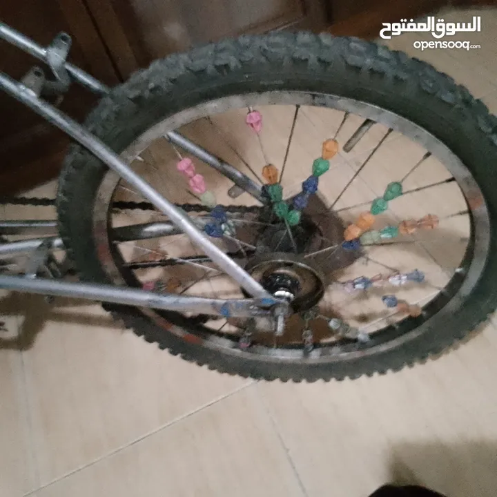 بسكليت ياباني