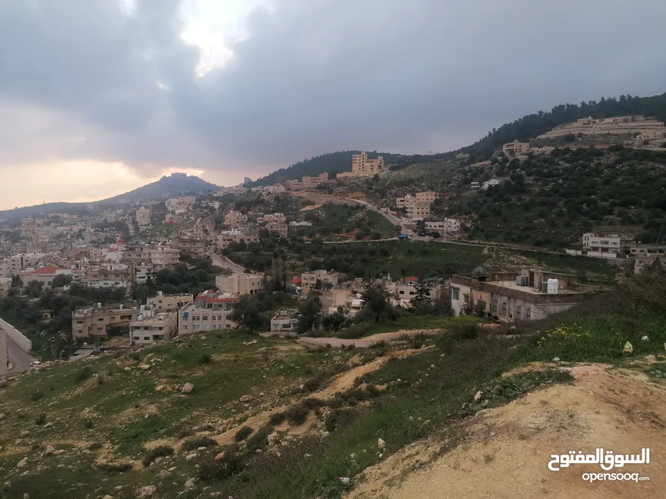 فرز جديد أجمل ارض في عجلون مرتفعه على جبل ومطله على جبال عجلون لغايات السكن / فلل / اسكانات