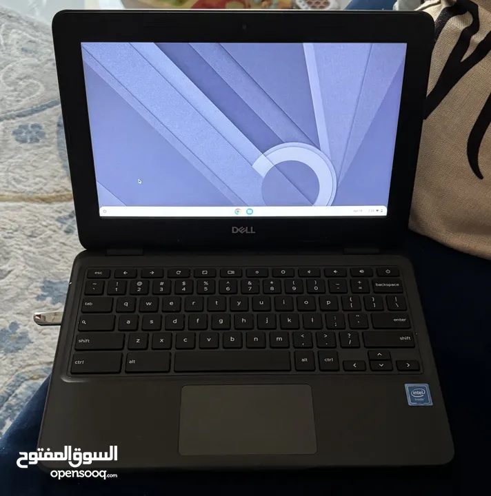 Dell Chromebook 3100 used