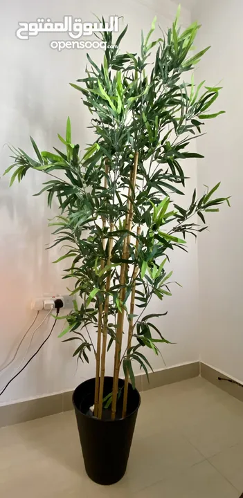 Artificial potted plant - in/outdoor bamboo